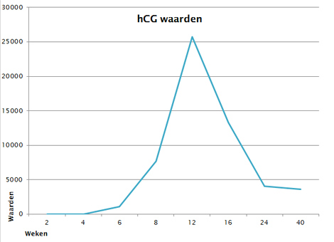 hCG waarden