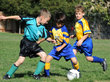 Beginnen met sporten